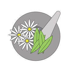 Healing medicinal plants used in natural remedies