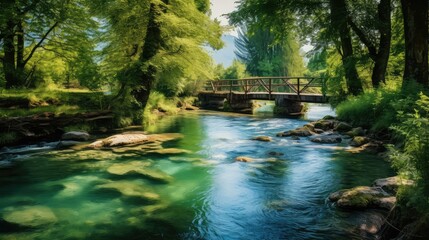 Fototapeta premium forest water river