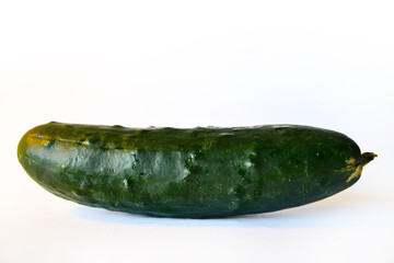 Pepino verde mojado aislado. Fondo blanco