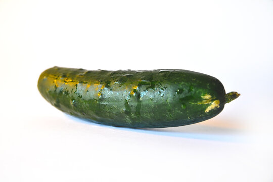 Pepino verde mojado aislado. Fondo blanco