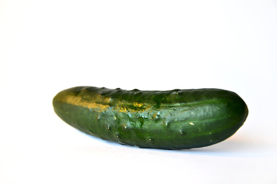 Pepino verde mojado aislado. Fondo blanco