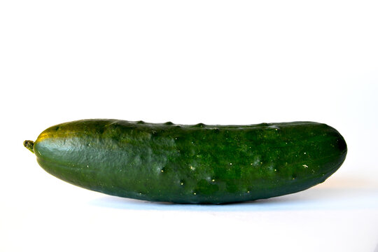 Pepino verde mojado aislado. Fondo blanco