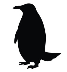 Cute cartoon hand drawn vector Penguin silhouette.