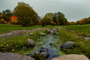 An autumn-colored park embraces a flowing stream, its waters weaving between rugged rocks