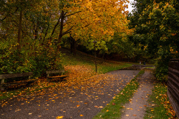 Falling autumn leaves gently cover a beautiful bench in the park.