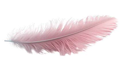 pink feather 3d render icon isolated on white background