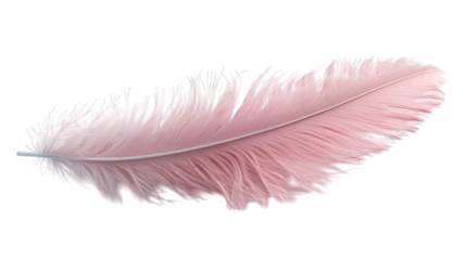 pink feather 3d render icon isolated on white background