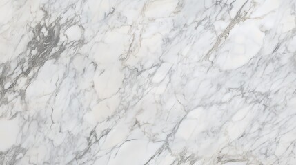 White marble texture with intricate gray veining details
