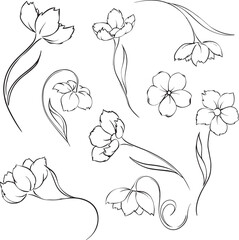 Для Интернета