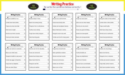 Learn practice sentence for homework