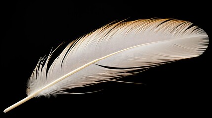 Obraz premium ethereal white feather