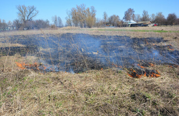 Burning dry grass in spring. Burning grass in spring for better pasture in a Ukrainian village.