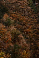 Almaty, Kazakhstan, Nature