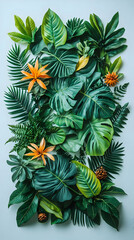 Obraz premium Tropical leaves arrangement, studio background