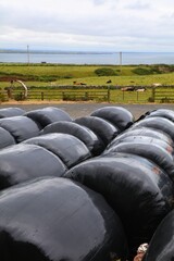 Fodder bales wrapped in plastic in Ireland