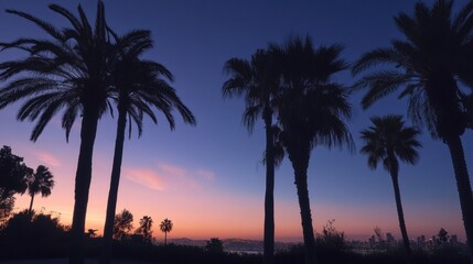 Obraz premium Palm trees and LA skyline during golden hour, a peaceful and warm California evening scene