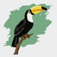 hornbill bird perched on a br...