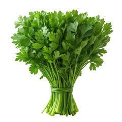 Parsley isolated on transparent background