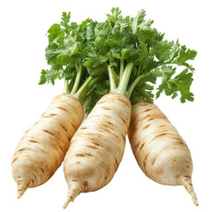 Parsnips isolated on transparent background