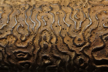 antique wooden roller with embossed drawing, with abstract pattern for silk fabric printing