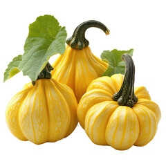 Pattypan Squash isolated on transparent background