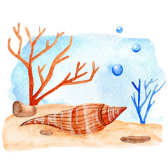 Watercolor underwater scene with seashell, coral, sand, and bubbles. Hand-painted marine life illustration