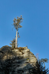 Zima w górach © Thomas