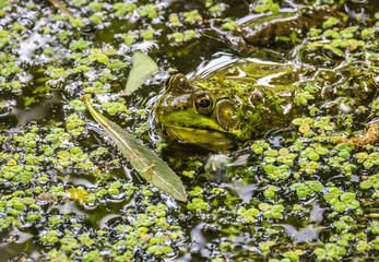 Terry Nunn Nature Wildlife Landscape Photography