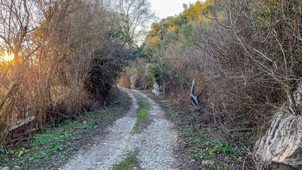 Fototapeta premium A serene dirt pathway winding through a countryside landscape, bordered by leafless trees and underbrush. The setting sun casts a warm glow, creating a tranquil atmosphere.