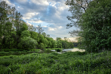 Obraz premium the charms of spring