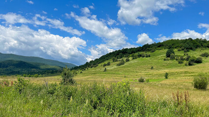 Fototapeta premium A picturesque view of lush green hills under a vibrant blue sky filled with fluffy white clouds. The landscape is dotted with various shrubs and trees, creating a serene and natural setting.