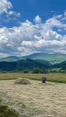 A scenic view of a rural landscape featuring a lone farmer working in a field under a vast, cloudy sky. Lush green mountains rise in the background, creating a serene and natural environment.