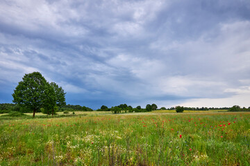 the charms of spring