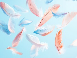 Flying Feathers