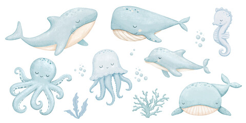 Cute baby whale, dolphin and shark, sea animals set, watercolor hand drawn isolated illustration for kids