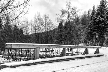Landscapes - Forest - Europe, Romania, Suceava region