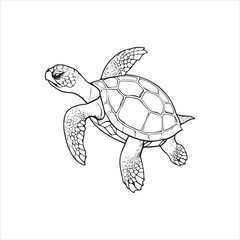 Fototapeta premium How Turtles Communicate: Sounds, Signals, and Behavior
