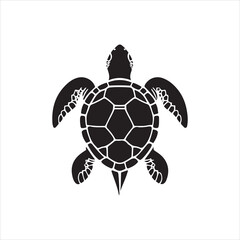 Obraz premium Why Are Sea Turtles Facing Extinction? The Threats They Face