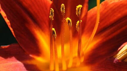 Ausschnitt-10 © Heino Flathmann