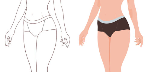 control briefs, Women's underwear design, delicate outline illustration, linework, png transparent background