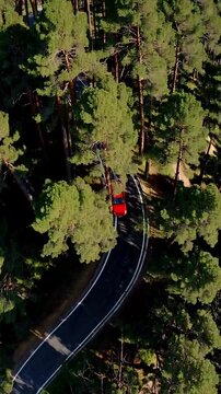 Aerial view: a car at windy road in pine forest hills. Vertical backgrounds