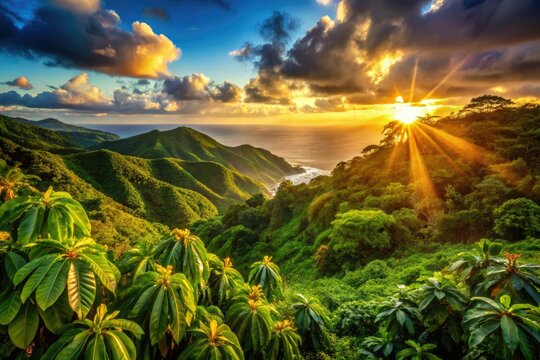 Sun-drenched Venezuelan hills cradle Chuao's lush rainforest, yielding exquisite cocoa beans near the Caribbean.