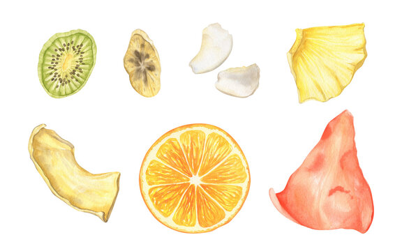 Dried fruit watercolor set. Slices of pineapple, kiwi, melon, banana, coconut, orange, watermelon chips. Hand painted healthy exotic vegan food clipart. Dried natural organic sweet snacks collection