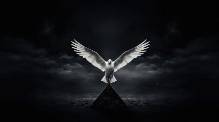 Fototapeta premium dark black triangle background