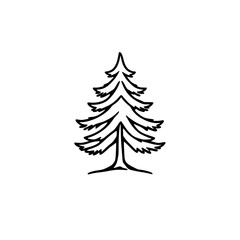 Minimalist Ink Illustration of a Spruce Tree against a white backdrop with black lines.