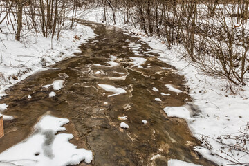 Landscapes - Forest - Europe, Romania, Suceava region