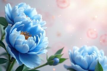 Delicate blue peonies in full bloom on a soft floral background, flower garden, botanicals