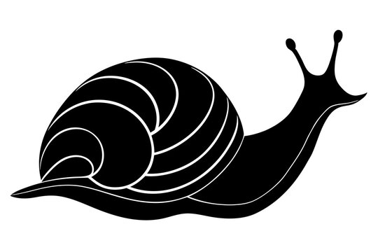 recommend clip art: Snail silhouette vector art illustration, graphic design, isolated icon, snail clipart