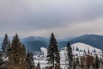 Landscapes - Forest - Europe, Romania, Suceava region