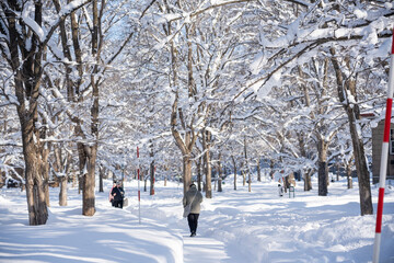 北海道大学